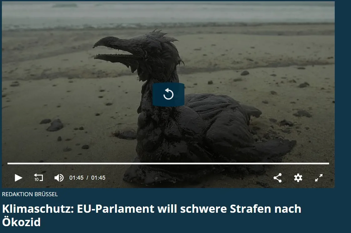 Webaufnahme_26-5-2021_174251_de.euronews.com